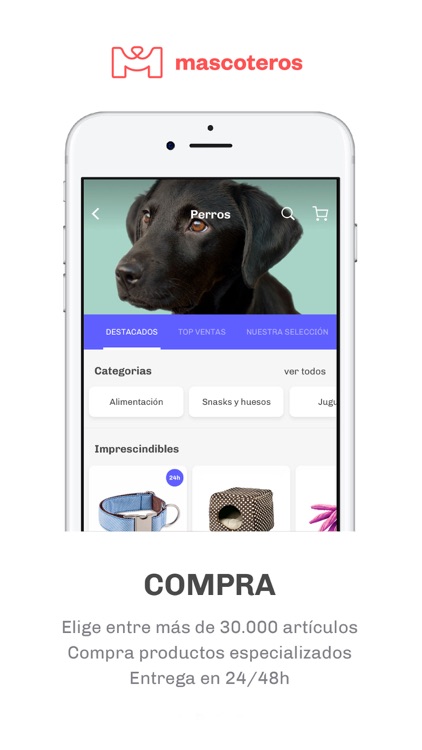 Mascoteros