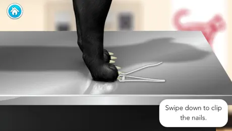 Doctor Games: Pet Vet Cat Care