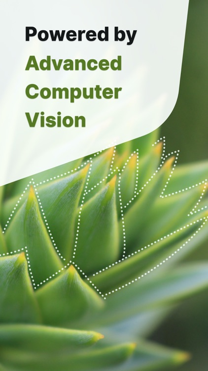 Plant Identification ++