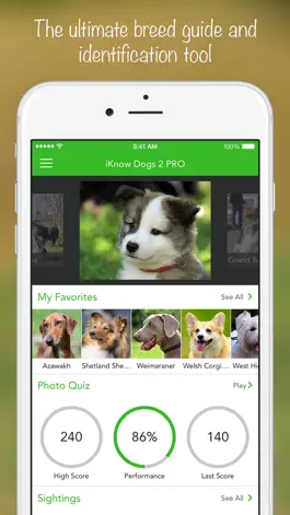 Game screenshot iKnow Dogs 2 LITE mod apk