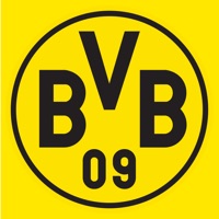 Kontakt BVB