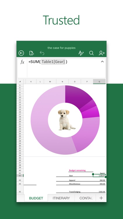 Microsoft Excel