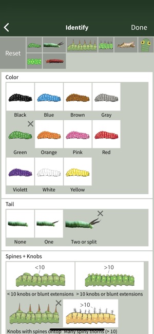 Caterpillar Id USA East Coast(圖3)-速報App