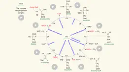 metabolism problems & solutions and troubleshooting guide - 2