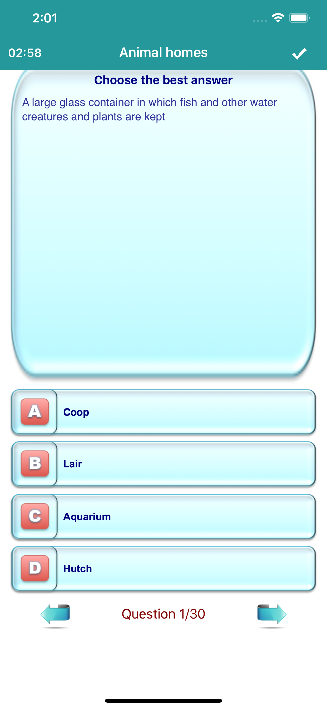 English Vocabulary With Topics