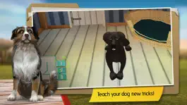 Game screenshot Dog Hotel - Play with dogs hack