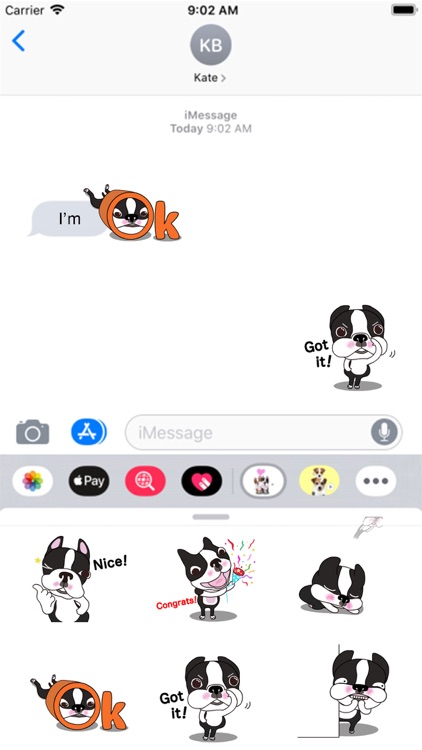 Animated Boston Terrier 1 screenshot-3