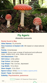 Shroomify - Mushroom ID USA screenshot