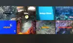 AQUARIUM TV App Contact