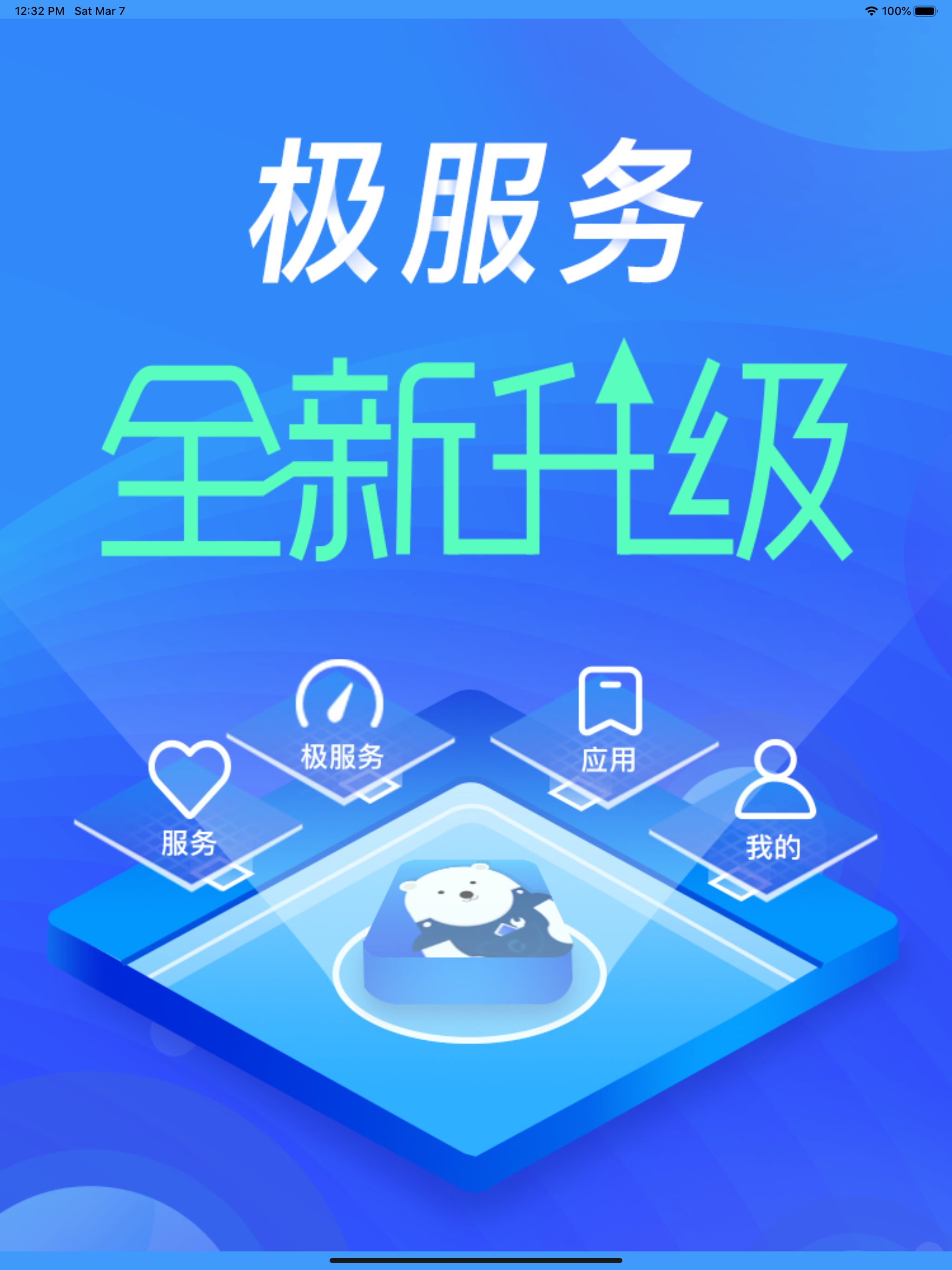 极服务
