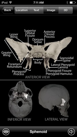 Skeletal Anatomy 3Dのおすすめ画像2