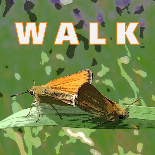 Walk Wild-Essex