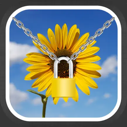 PicLock - Photo Video Locker Cheats