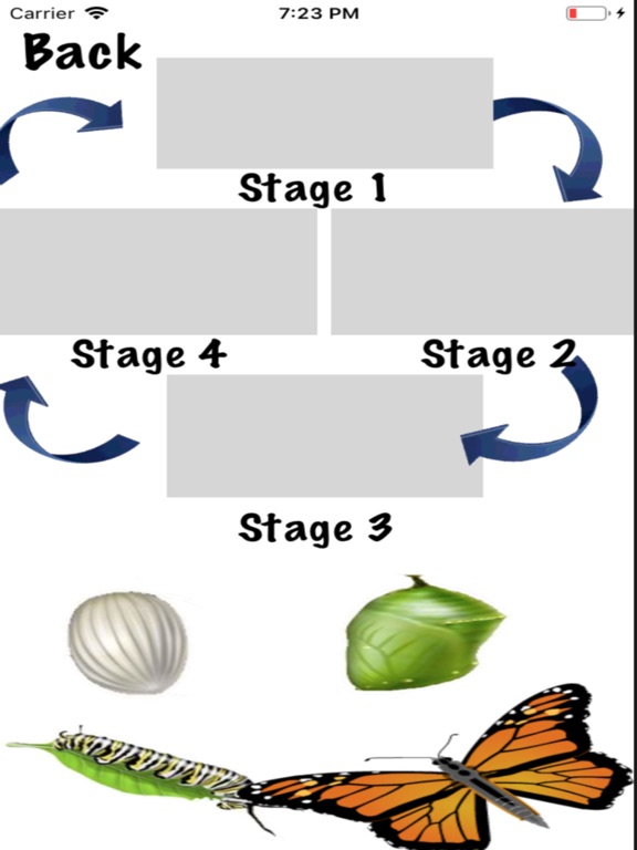 Screenshot #3 for Life Cycle - Insects Arachnids