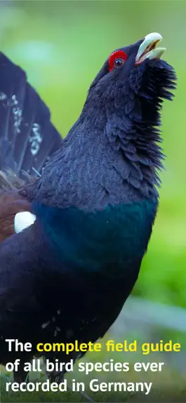 Game screenshot All Birds Germany apk