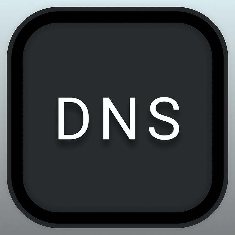DNS Client