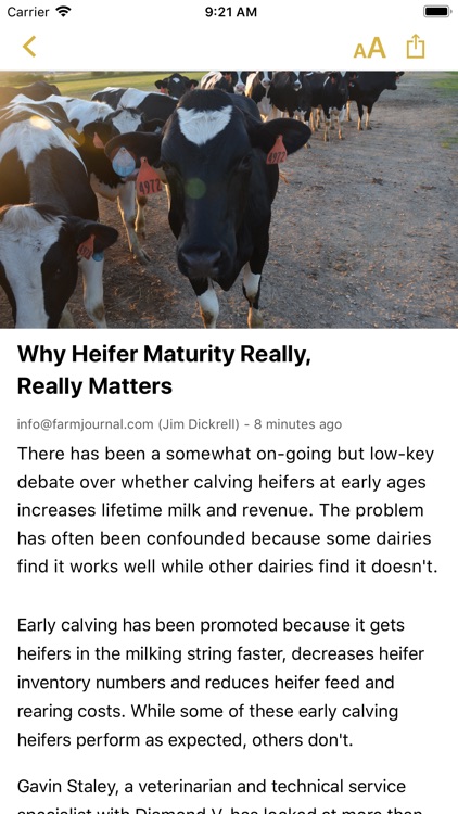 Dairy News and Markets