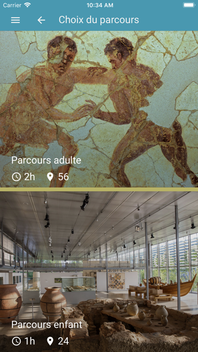 Musée St-Romain-en-Gal Screenshot