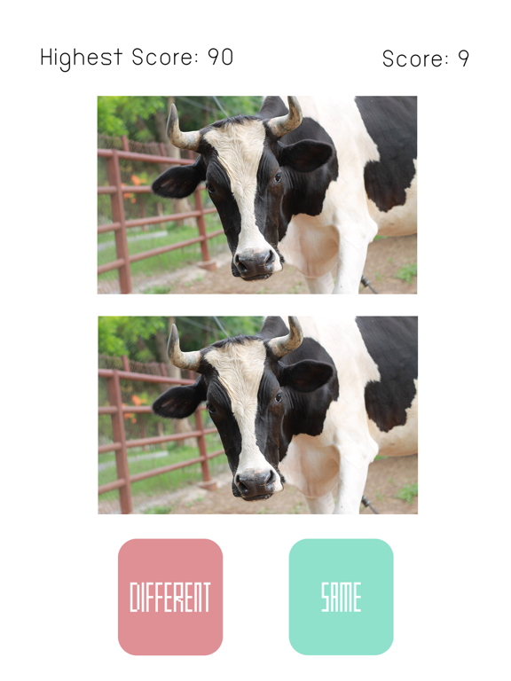Screenshot #5 pour Same or Different ?