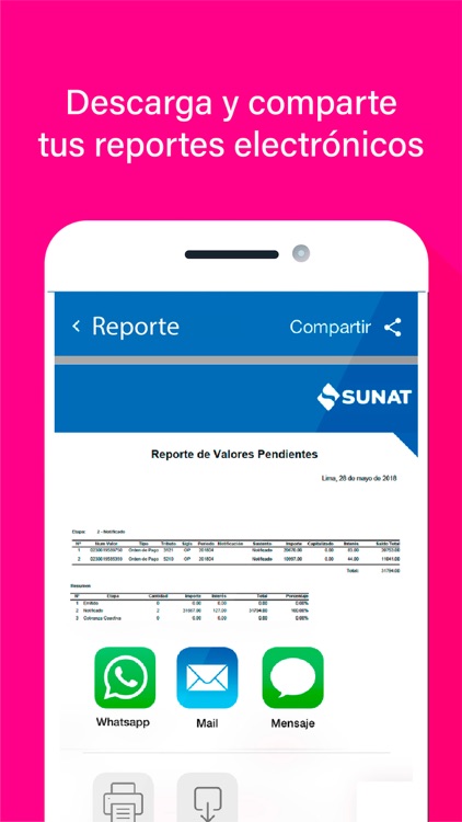 Emprender SUNAT screenshot-4