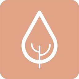 Aurum