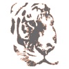 Republic Tiger Sports icon