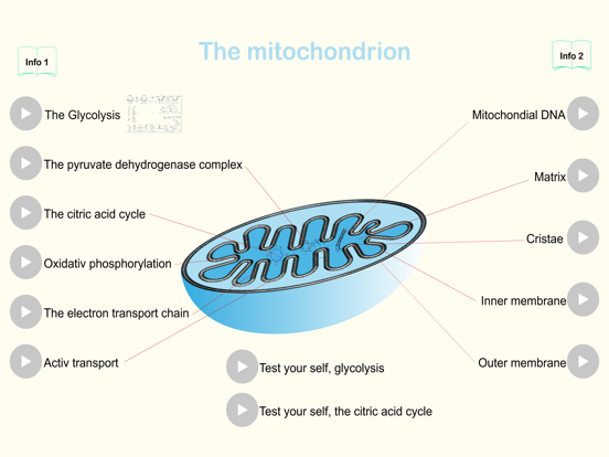 Screenshot #4 pour Metabolism