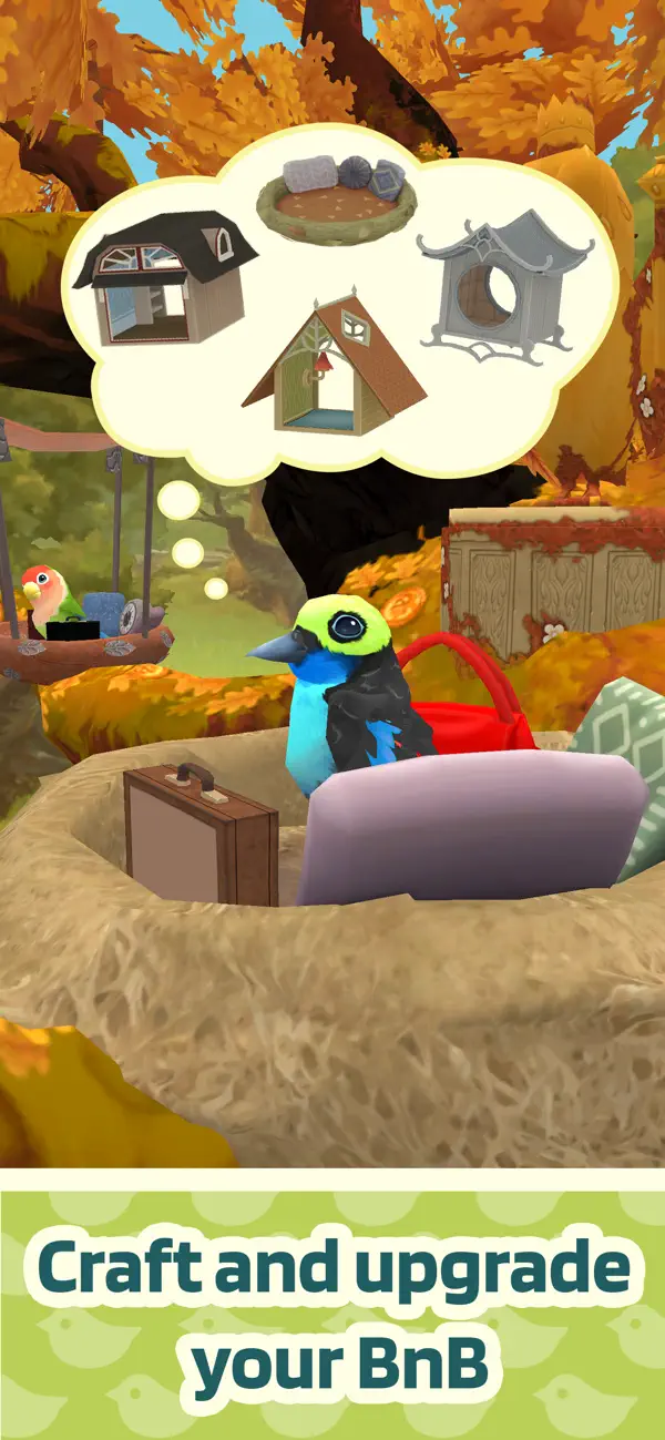 Bird Bed & Breakfast