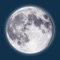 This application contains the lunar calendar for 2019