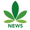 Cannabis News Network icon