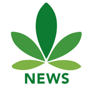 Cannabis News Network