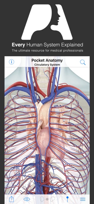 Pocket Anatomy On The App Store - 