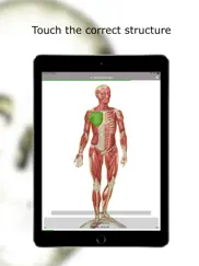 anatomie quiz lite ipad bildschirmfoto 3