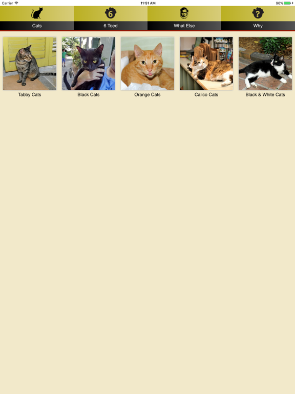 Screenshot #5 pour Hemingway Cats