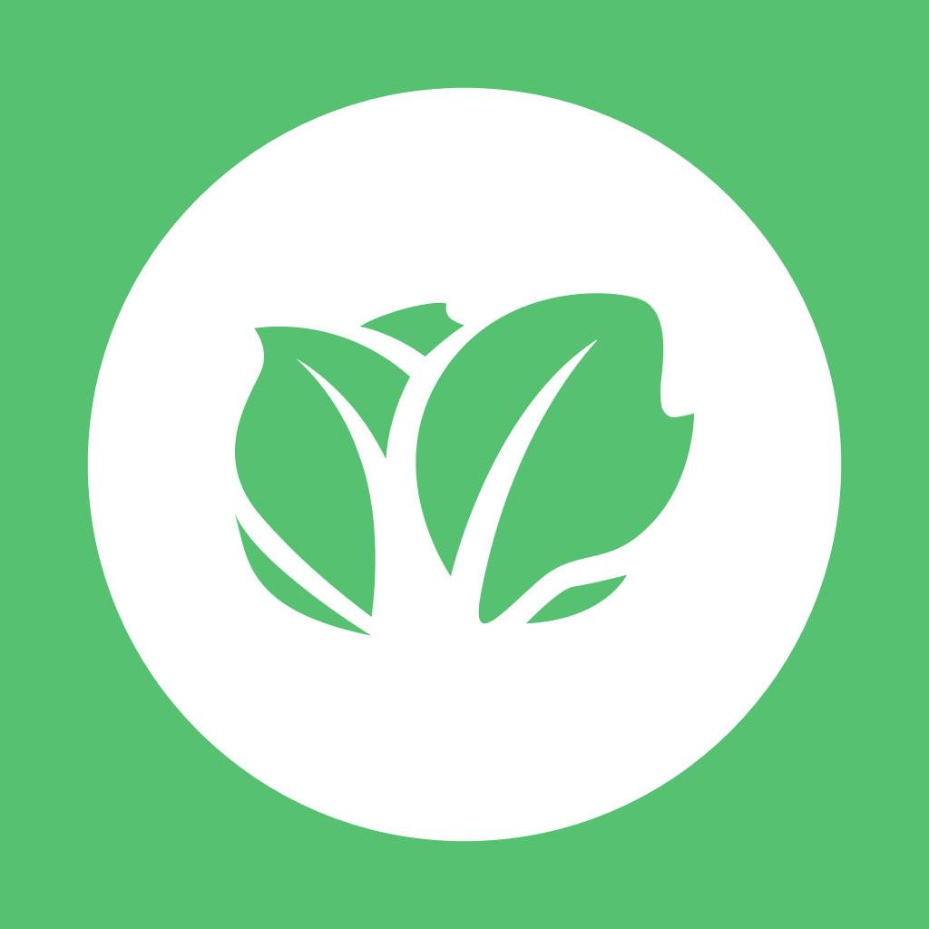 About Icon