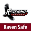 Raven Safe