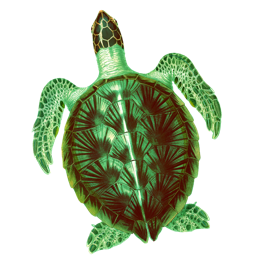 SeaTurtle - Coding for Kids