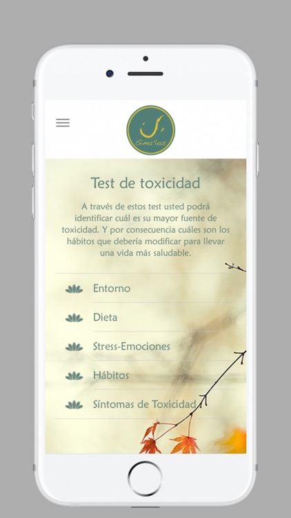 Sirope de Savia Madal Bal