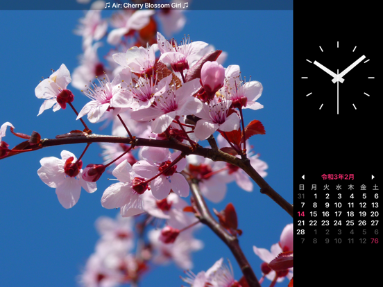 Screenshot #5 pour Photo Frame Calendar & Clock