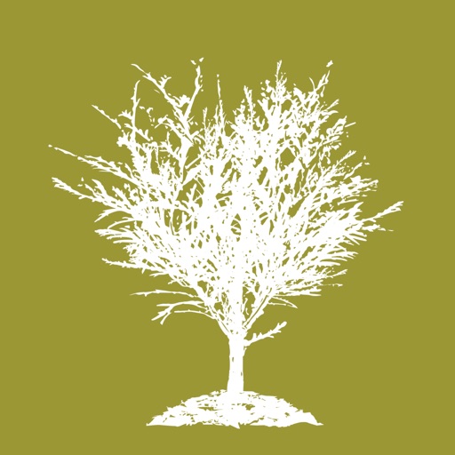 My Cedar Hill Download