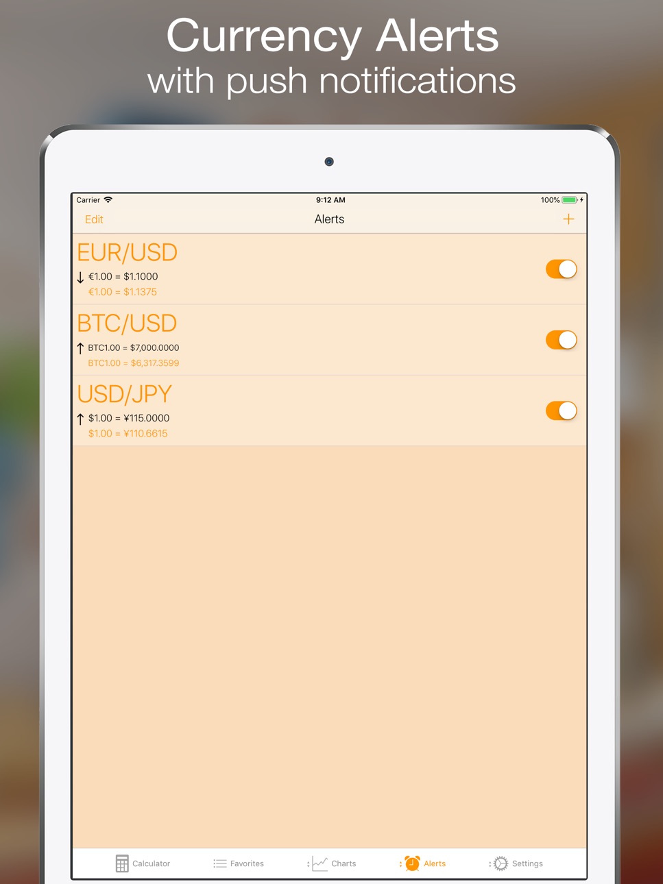 iPad screenshot