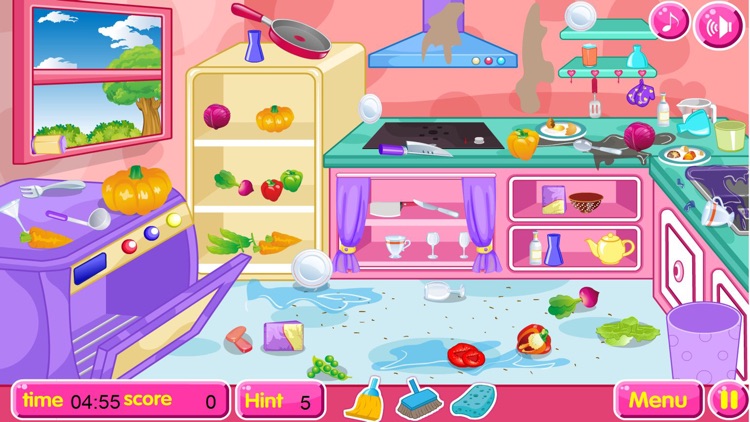 Kitchen restaurant cleanup