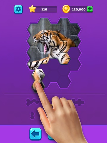 Hexa Jigsaw Puzzle ®のおすすめ画像2