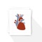 370 plus terms and definitions with 13 sections covering Anatomy, Physiology and science of medicine