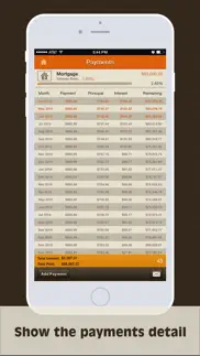 debts monitor iphone screenshot 2