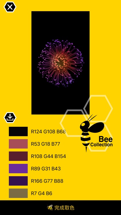 Bee - Color Pick & collection screenshot-5