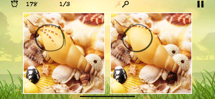 1000 Photos Difference Game