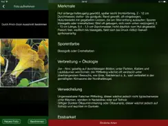 PilzSnap - Pilze sammeln! iPad image 2