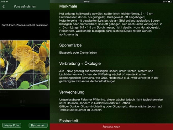 PilzSnap - Pilze sammeln! iPad app afbeelding 2