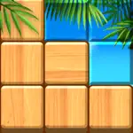 Blockscapes Sudoku App Problems